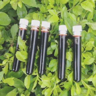 [SALE GIÁ VỐN]  Cao lá nam handmade handmade