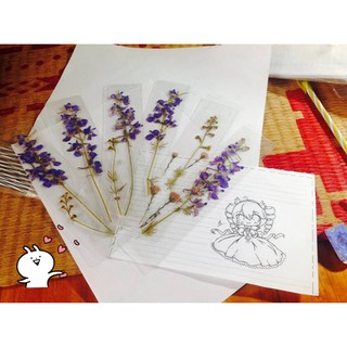 Bookmark Hoa Khô Ép (#suongman)