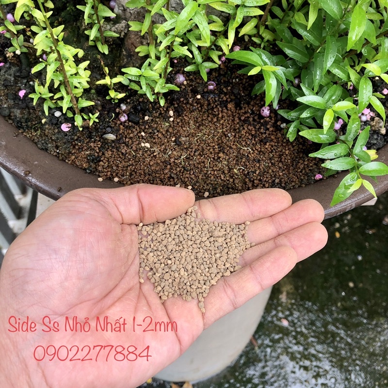 AKADAMA Super Hard - Đất nền cao cấp trồng thuỷ sinh, sen đá, bonsai