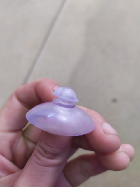 Hít kính cho máy bơm, máy lọc nước bể cá - 5k/1cái