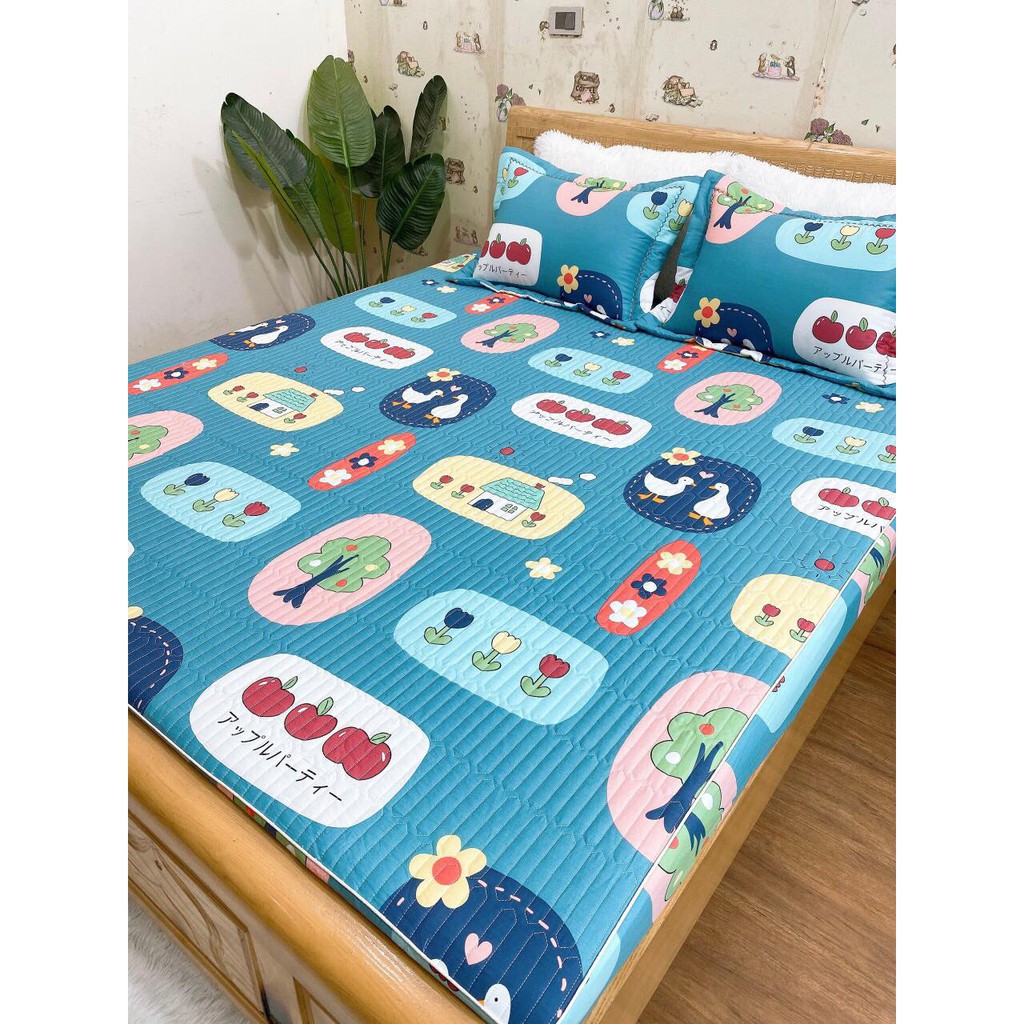 [VÔ ĐỊCH RẺ] SET HÈ COTON TRẦN CHUN HÀN M6 - CHẤT LIỆU NHẬP KHẨU