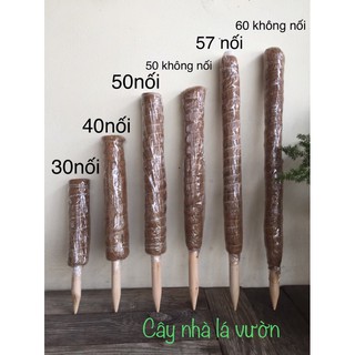 Trụ cột xơ dừa cho cây leo bám cột 30/40/50/60cm