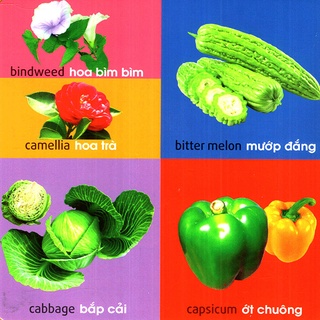 Sách - 101 First Words - Plants (101 Từ Đầu Tiên - Thực Vật)