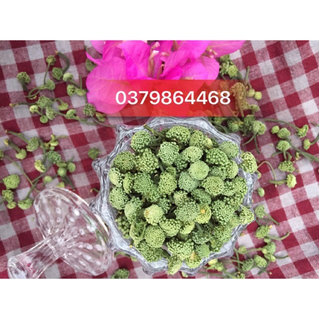 (FREESHIP) 500g nụ hoa tam thất bao tử loại hảo hạng