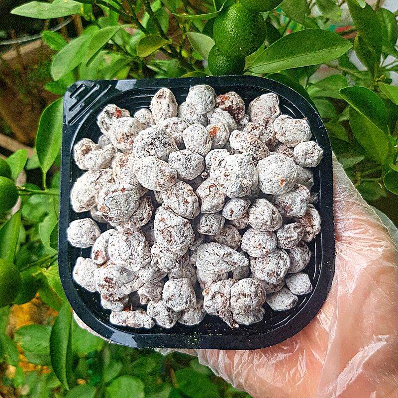 Ô mai Mơ Xí Muội chua - mặn - ngọt hộp 300gr và 500gr