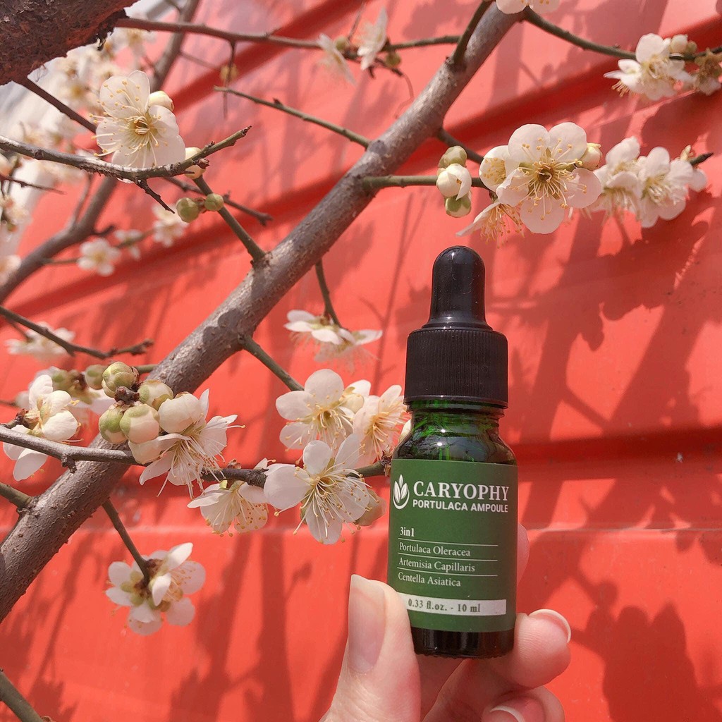 Serum ngăn ngừa mụn và thâm Caryophy Chính Hãng - Serum Mụn Ngăn Ngừa Mụn Ẩn,Mụn Đầu Đen | BigBuy360 - bigbuy360.vn