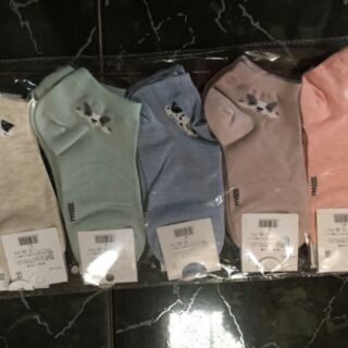 Combo Quần áo lót Thái