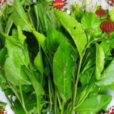 500gr cây cải trời khô trị bướu cổ hàng loại 1 thơm ngon