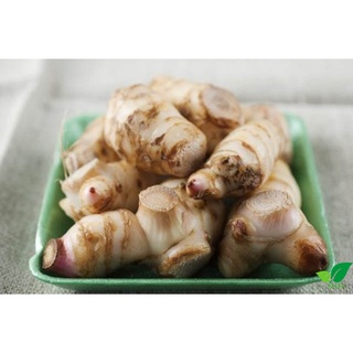 300G RIỀNG CỦ TƯƠI