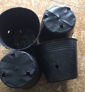 Túi bầu ươm cây(Hàng loại 1) size 10x10