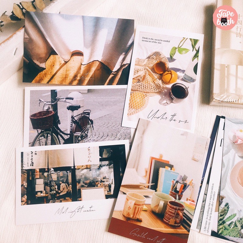 [Mã SKAMLTSM9 giảm 10% đơn 99K] [Freeship] Postcard decor daily vintage chủ đề trang trí Sonnets in the world dán tường