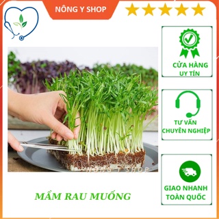 Hạt giống mầm rau muống Rạng Đông RADO 16 100g