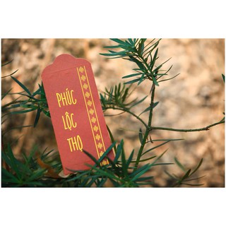 Lì xì 2020 độc lạ