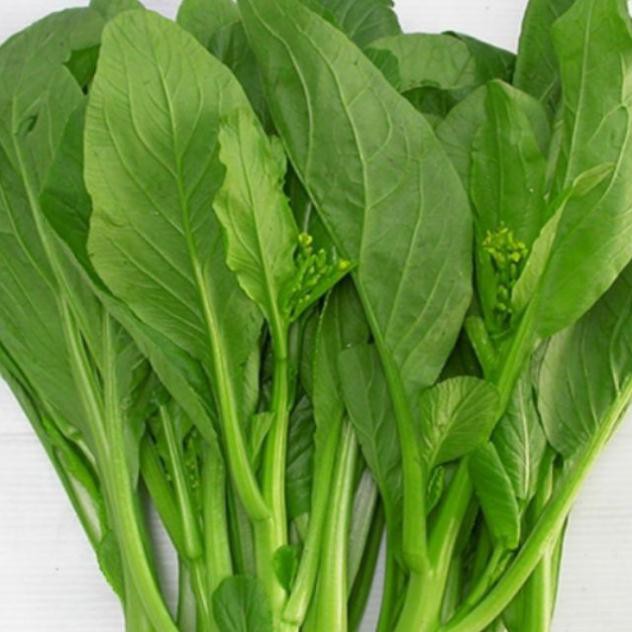 Hạt giống Cải Ngồng Mập 50 hạt