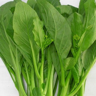 Hạt giống Cải Ngồng Mập 50 hạt