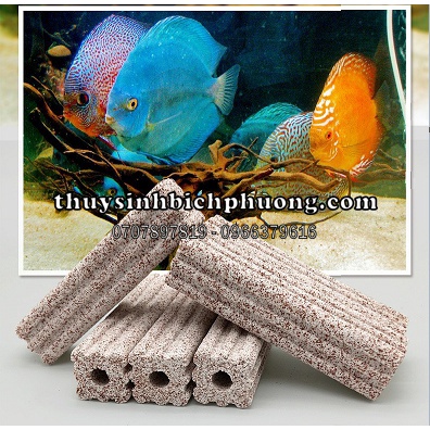 SỨ THANH LỌC ĐA GIÁC MUỐI TIÊU - CHUYÊN LỌC BỤI NUÔI VI SINH LÀM TRONG NƯỚC CHO HỒ CÁ THUỶ SINH