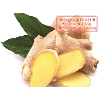 1 kg củ gừng