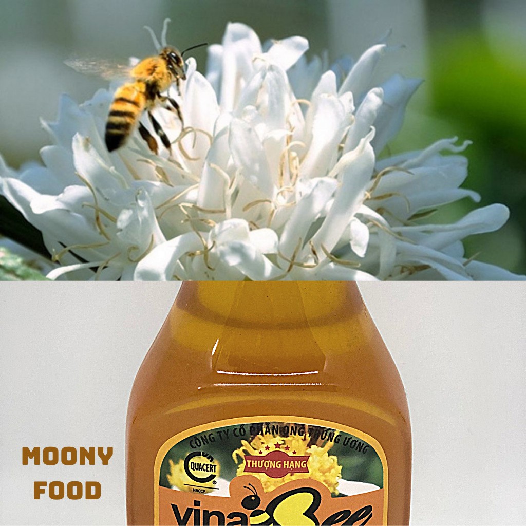Mật Ong Rừng Hoa Nhãn Bạc Hà Nguyên Chất Vina Bee Hộp 360G