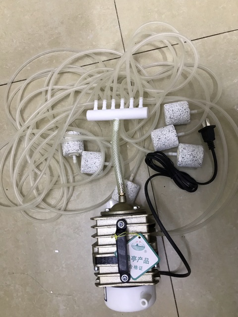 MÁY SỤC TẠO ÔXY CHO BỂ CÁ LOẠI 220V-50W CẢ BỘ