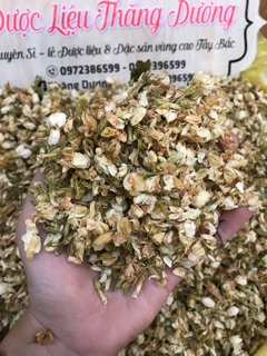 [FREESHIP 99K TOÀN QUỐC] Hoa trà thơm Bát Tiên
