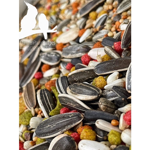 1kg hạt mix + Zupreem cho Vẹt size trung (Lovebird, Cockatiel, Parrotlet...)