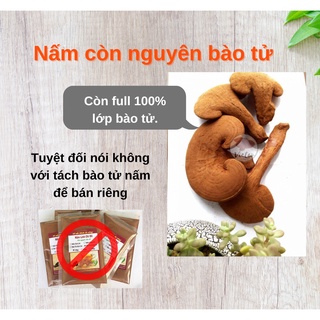 Nấm Linh Chi Đỏ Thái Lát - Hồng Chi (Còn Nguyên Bào Tử)