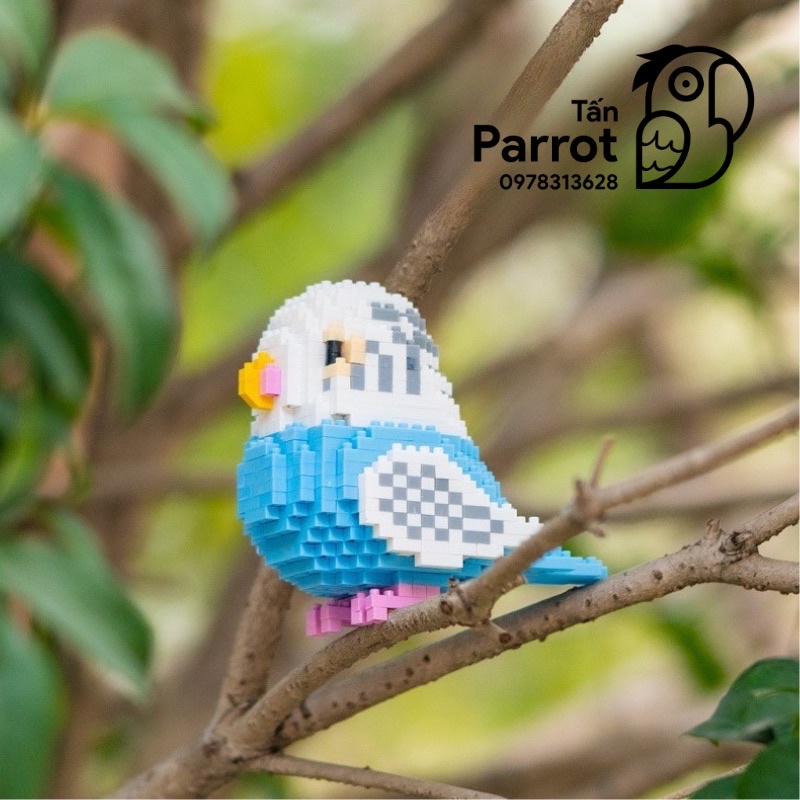Lắp ráp Lego hình vẹt cao cấp