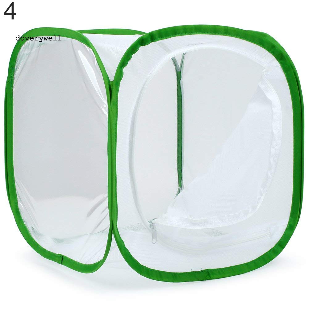 Lồng Lưới Nuôi Bướm / Côn Trùng Có Thể Gập Lại Được