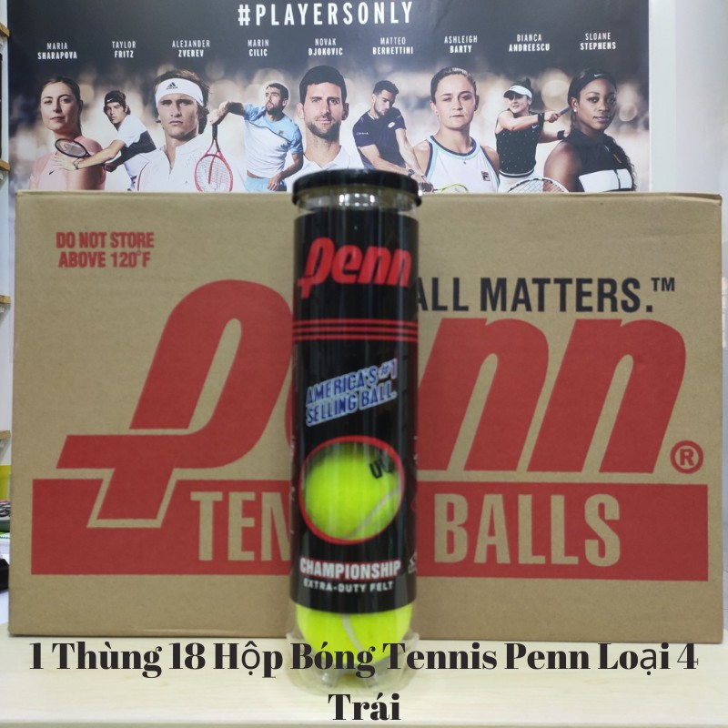 1 Thùng 18 Hộp Bóng Tennis Penn Loại 4 Trái, Banh Tennis Penn 4, Bóng Tennis Penn Championship 4