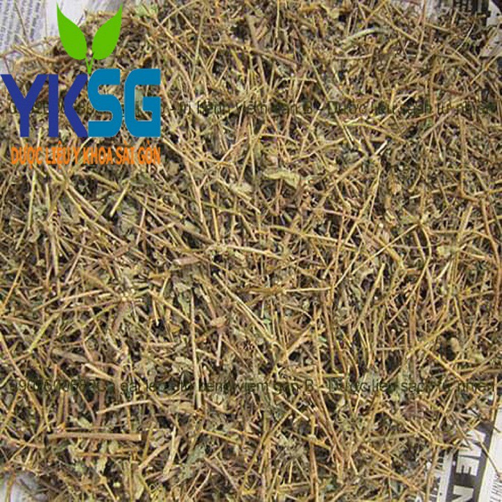 cà gai leo cao cấp 1kg