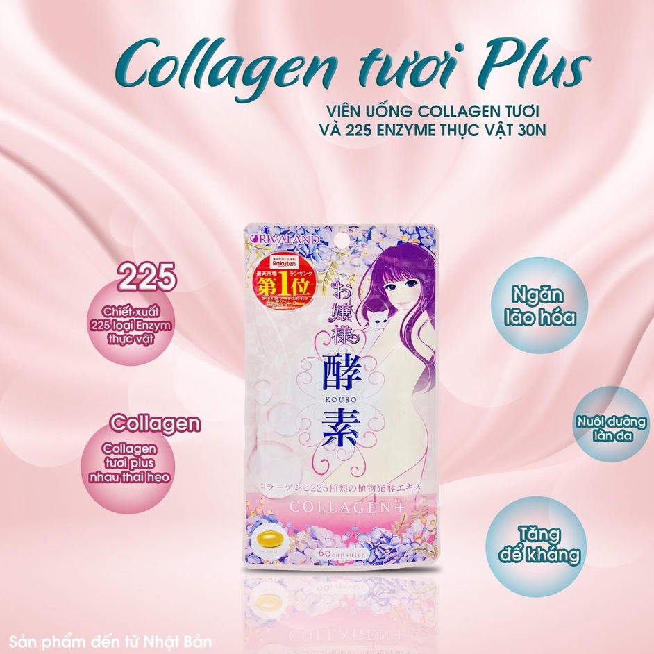 VIÊN UỐNG COLLAGEN TƯƠI CHIẾT XUẤT NHAU THAI HEO VÀ 225 ENZYME THỰC VẬT RIVELAND 30N NHẬT BẢN