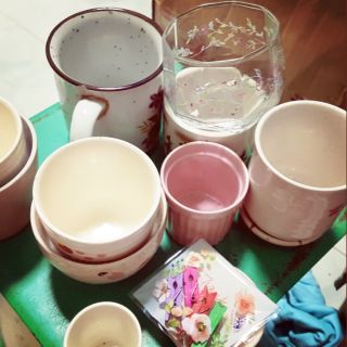Chậu gốm trồng cây