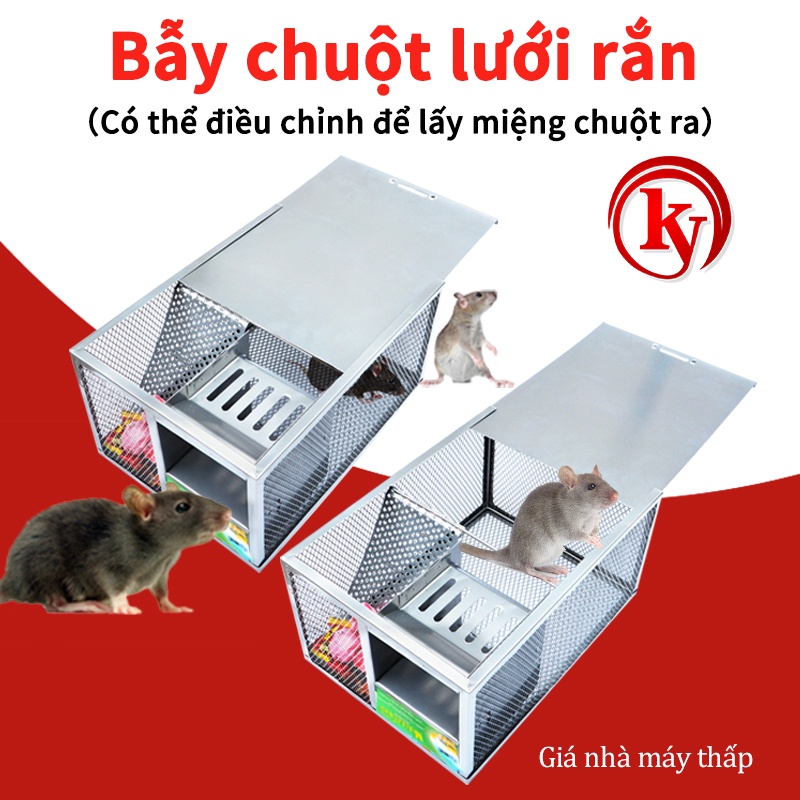 BẪY CHUỘT THÔNG MINH