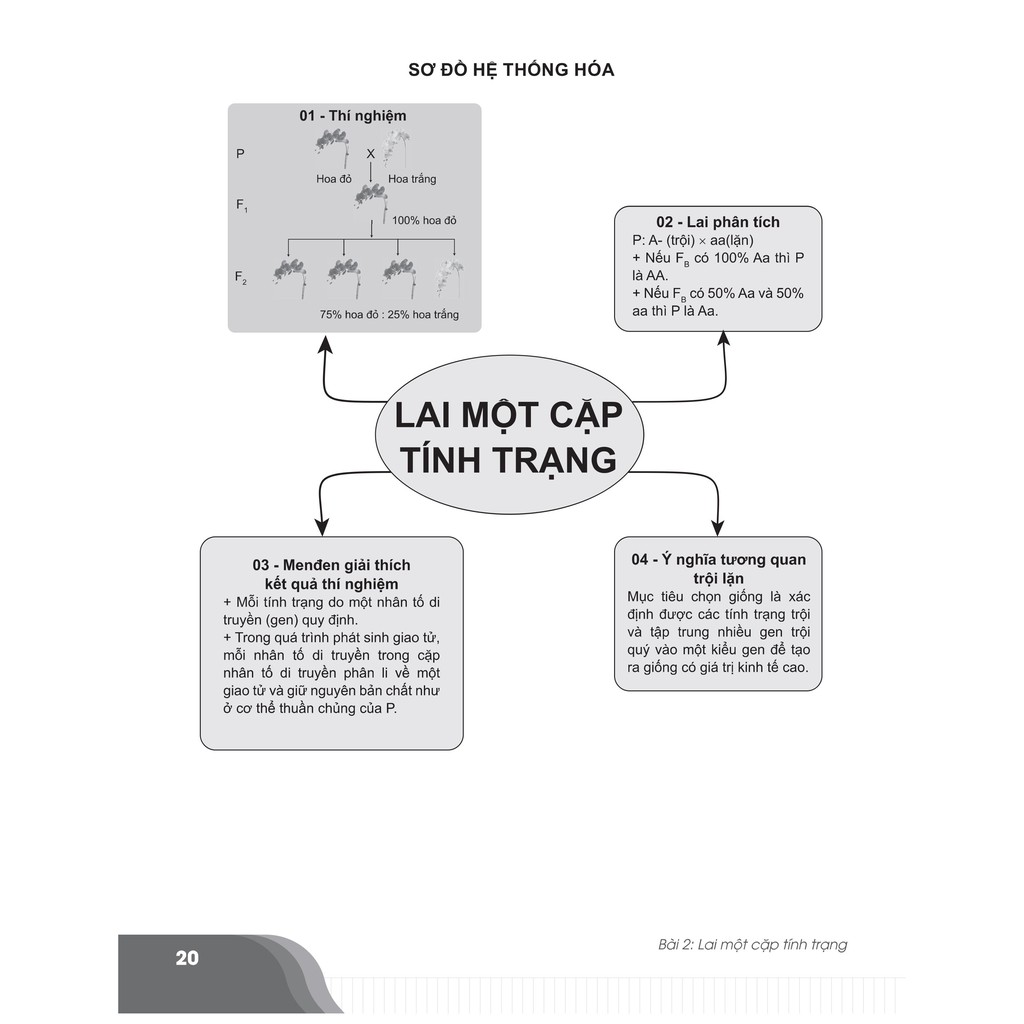 Sách - Bí quyết chinh phục điểm cao Sinh học 9 - Ôn thi vào 10 môn Sinh học