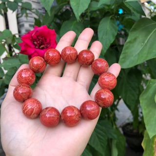Vòng tay san hô đỏ tự nhiên