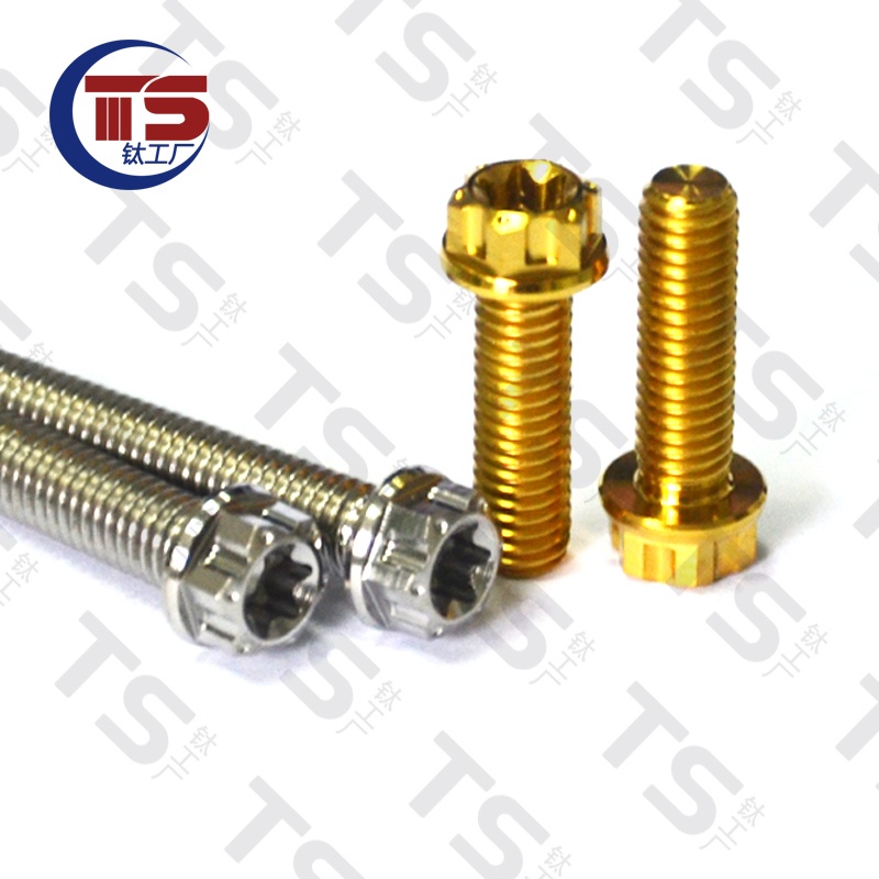 Ốc Vít Đầu Phẳng Hợp Kim Titan M6X10-70mm Chuyên Dụng Cho Động Cơ Xe Hơi