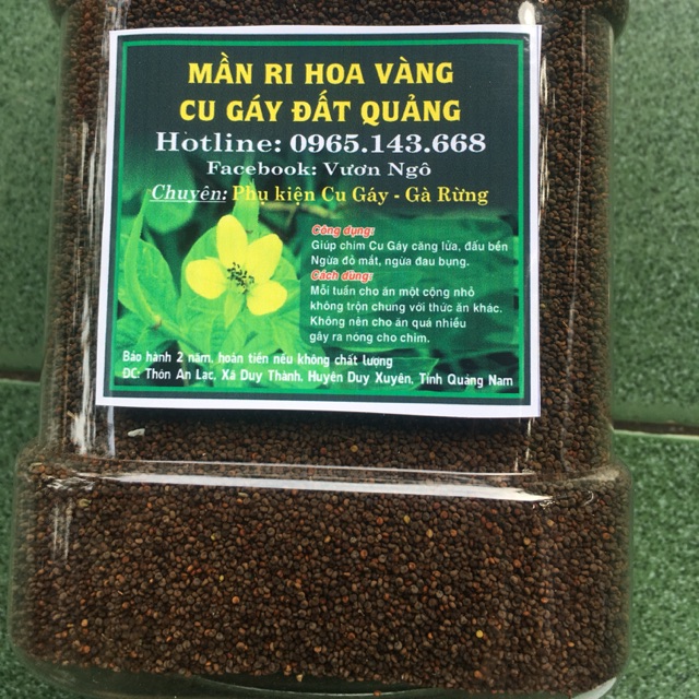 Mần Ri Hoa Vàng