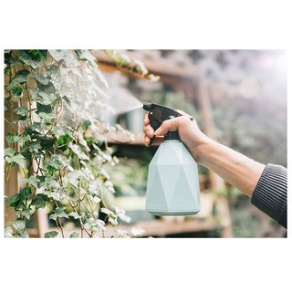 Bình xịt cây mini kiểu dáng độc đáo