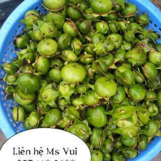 Quả bần chua