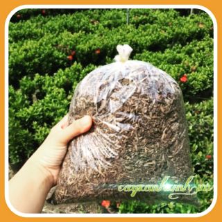 Giá thể trồng cây phân rơm oai mục