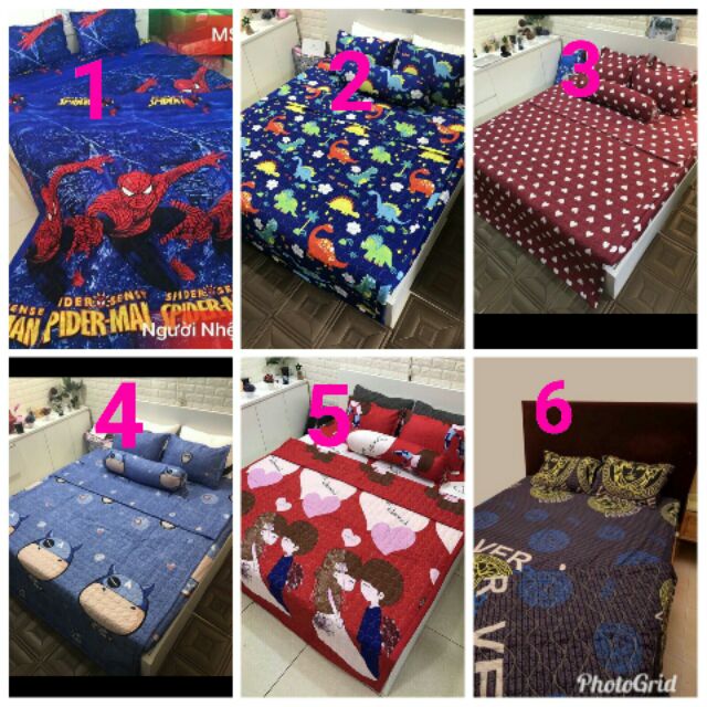 Bộ chăn ga hè 5 món cotton poly