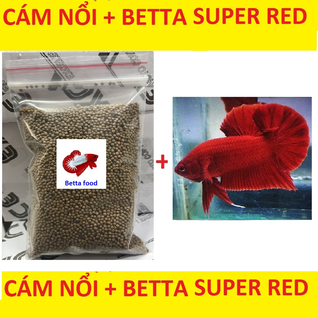 CÁM BETTA 10G TẶNG BETTA FULL RED