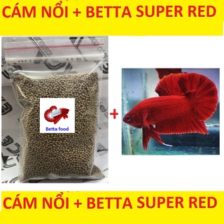 Cám betta 10g tặng betta full red