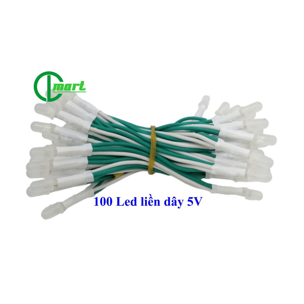 100 LED ruồi 5V liền dây (trắng, đỏ, xanh lá, xanh dương, vàng, hồng)