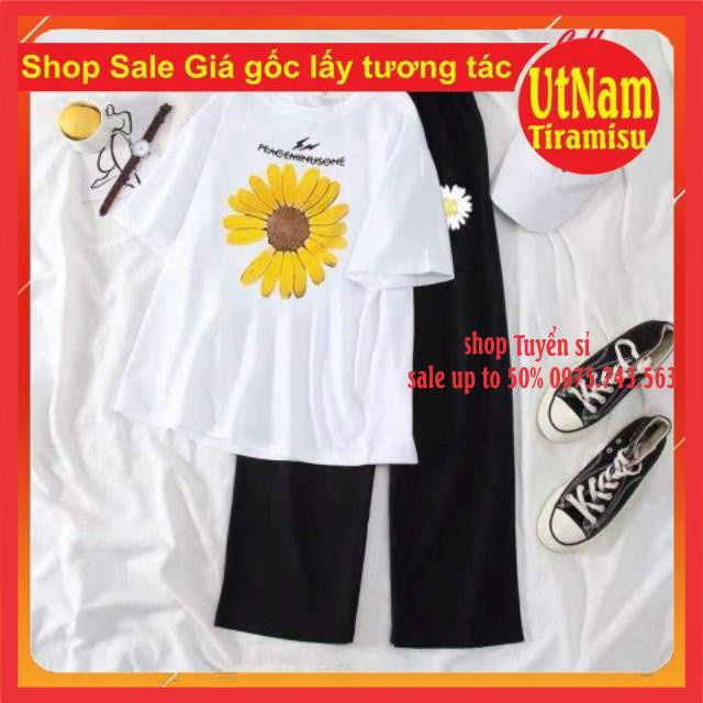 Sét áo phông hoa cúc tia sét + quần