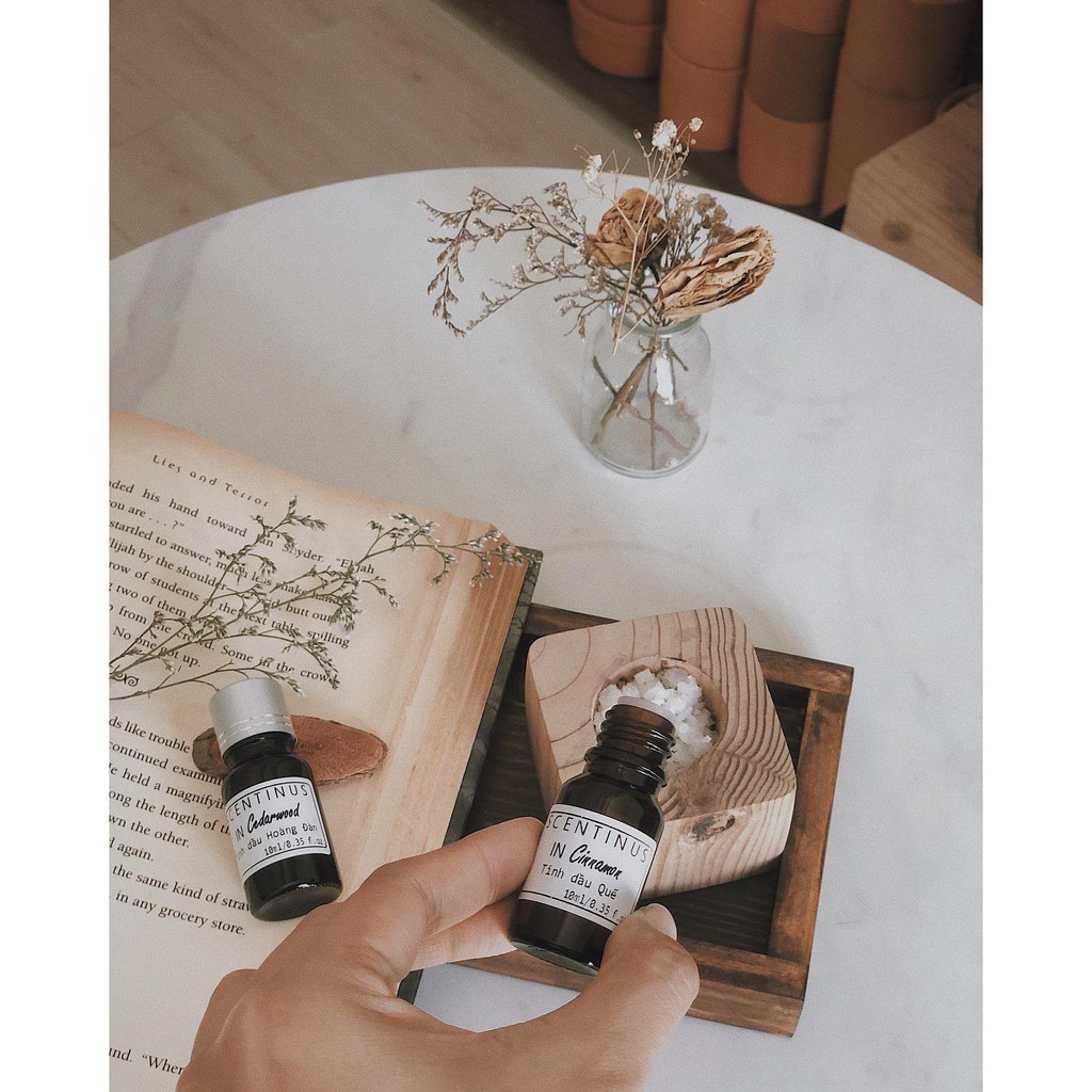 TINH DẦU QUẾ - CINNAMON