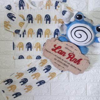 4 bộ cotton giấy