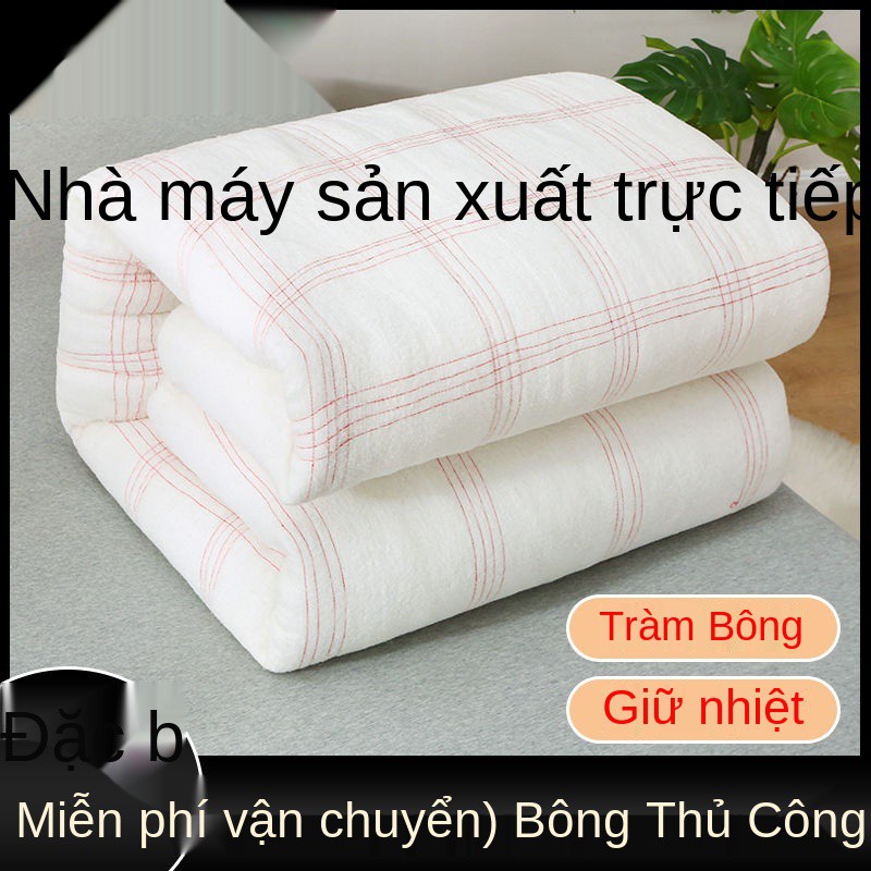 cotton quilt nệm ký túc xá sinh viên chăn đơn bông lõi lò xo, mùa hè, thu và đông dày