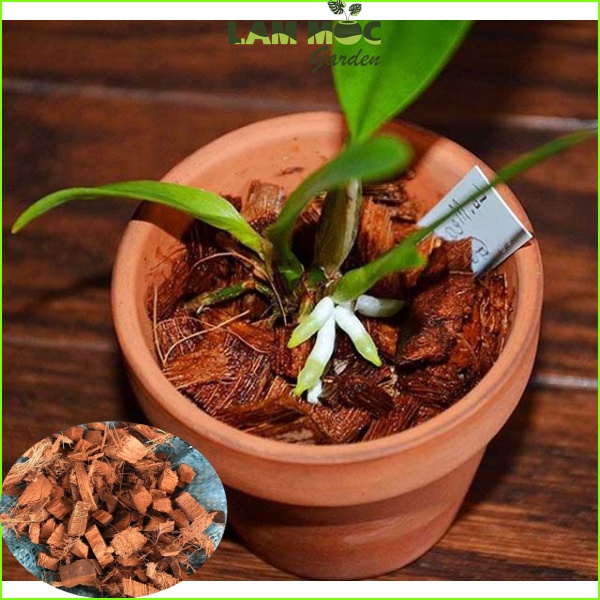 Giá thể trồng lan, cây trong nhà - Xơ dừa cắt size 1-2 - Gói 5 dm3