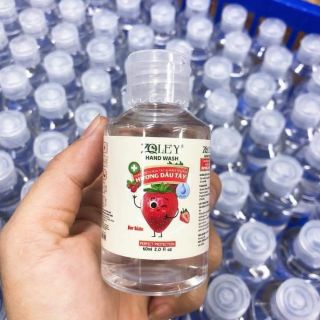 Nước rửa tay khô zoley